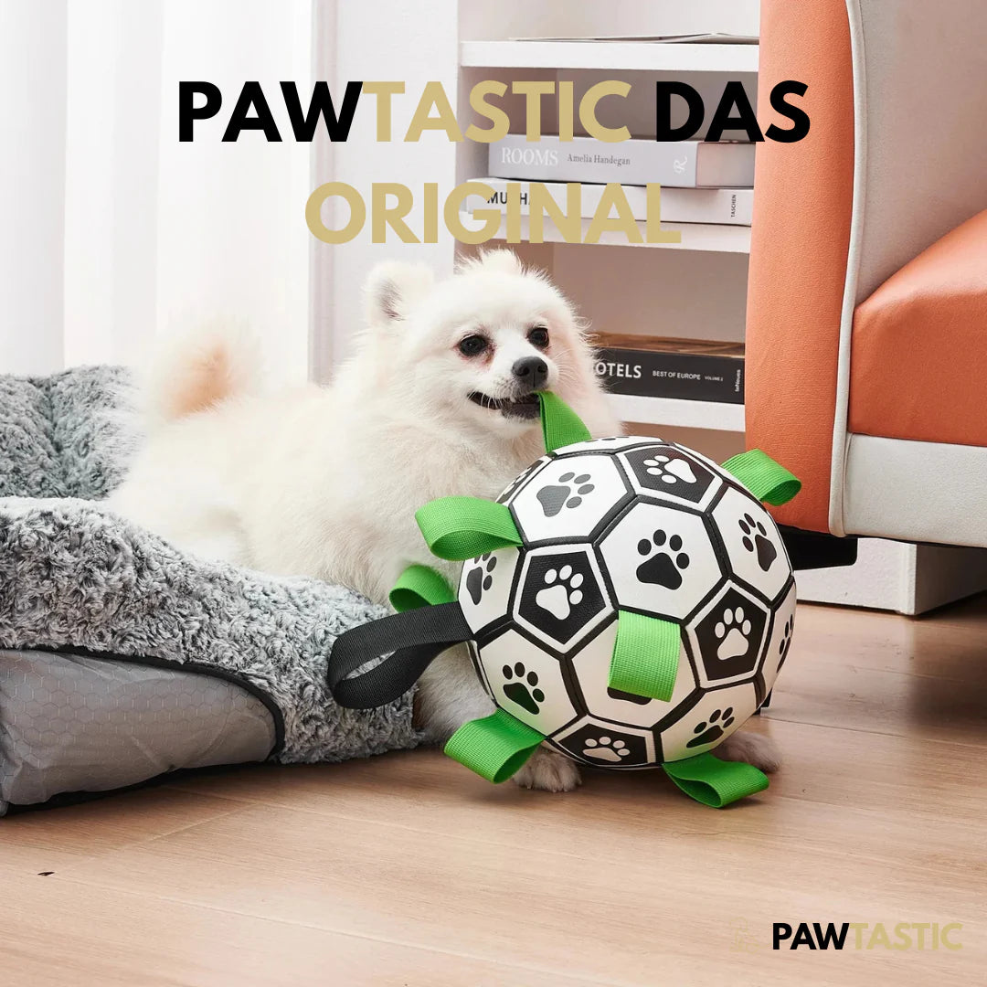 Pelota para perros PawTastic™ - EL ORIGINAL